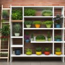 Discover the Best Shelving Systems for Indoor Vertical Gardening