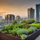 Master DIY Urban Gardening: Your Ultimate Guide and Tips