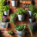 Master DIY Vertical Gardening Systems with My Simple Guide