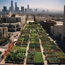 Los Angeles Urban Gardening for Beginners: Your Start Guide
