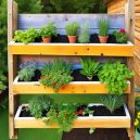Master Pallet Gardening Vertical with Our Easy Guide