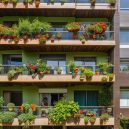 Master Urban Gardening at Home: A Beginner’s Starter Guide