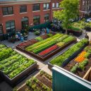 Sprouting Success: Tips & Trends in Urban Gardening Projects