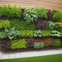 Discover Urban Gardening Solutions for Your Busy City Life.