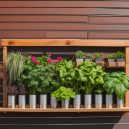 Master Urban Gardening: Tips and Products for the Space-Starved