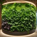 Discover Vertical Aeroponic Gardening Systems Today!