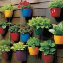 Discover Vertical Container Gardening Systems for Your Home!