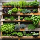 Grow Upwards: How to Do Vertical Gardening Tips