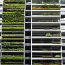 Maximize Space with Vertical Urban Gardening Tips