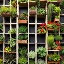 Unleash Your Space: What is Vertical Gardening?