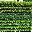 Optimize Your Space: Best Vertical Gardening Systems