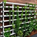 Grow Up! Vertical Gardening with PVC Pipe Tips