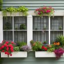 Maximize Your Space with Vertical Window Gardening