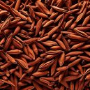 Discover the Magic of Cloves: Spice Up Your Life!