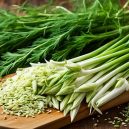 Discover Fennel: A Versatile and Flavorful Herb