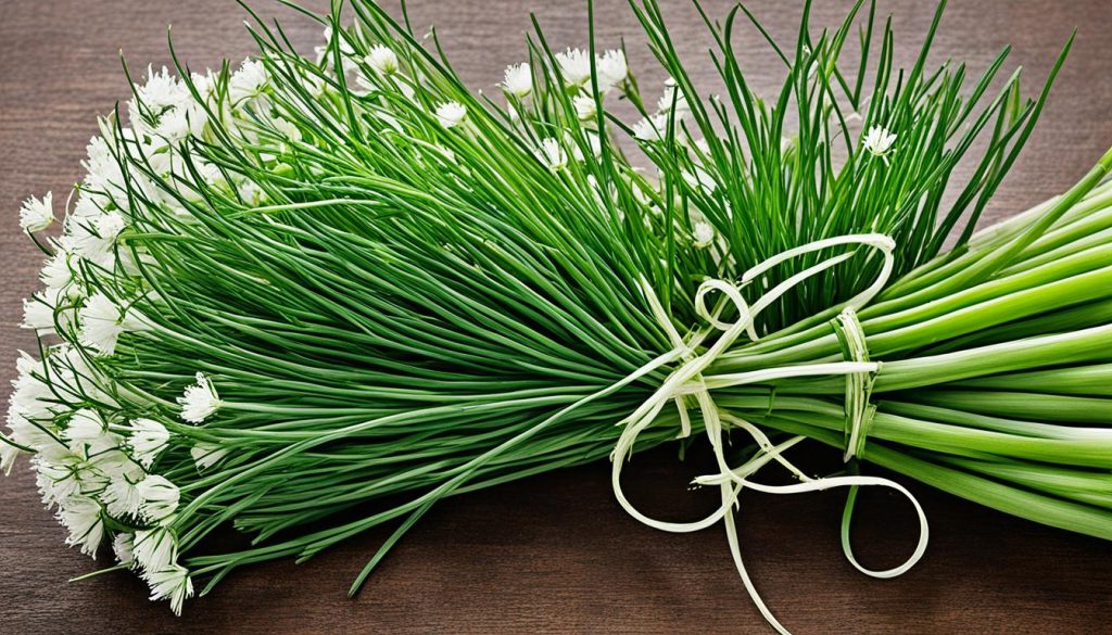 Garlic chives vs regular chives