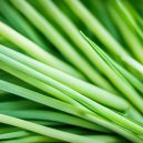 Lemongrass: Fragrant Herb with Amazing Benefits