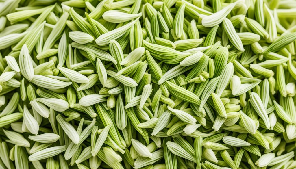 fennel vs. anise