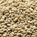 Sesame Seeds: Tiny Powerhouses of Nutrition