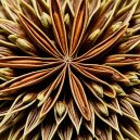 Discover the Magic of Star Anise: Flavor & Benefits