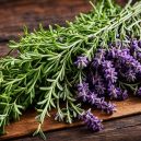 Thyme: Versatile Herb for Cooking and Health