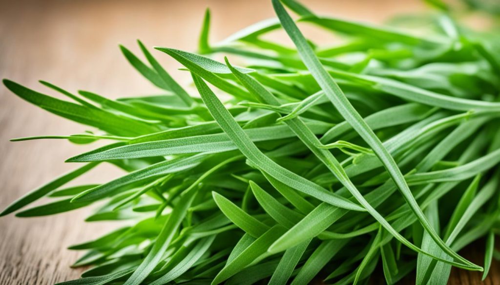fresh tarragon leaves