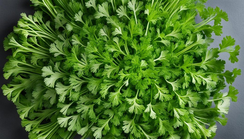 types of parsley