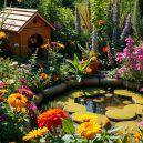 Nurture Nature: Organic Gardening for Wildlife