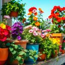 Discover the Joy of Container Gardening with Me