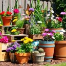 Unleash Your Green Thumb: DIY Container Garden Projects