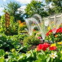 DIY Garden Irrigation Systems: A Complete Guide