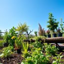 Discover the Amazing Benefits of Permaculture Gardening