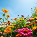 The Best Blooms for Budding Gardeners: My Recommendations