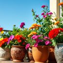 Discover the Top Plants for Thriving Container Gardens