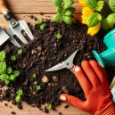 My Essential Gardening Tools for Beginners