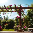 How to Build a Trellis: DIY Garden Structure Guide