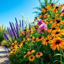 My Guide to Low-Maintenance Flowering Plants